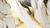 Abstrato Dourado na internet