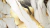Abstrato Dourado na internet