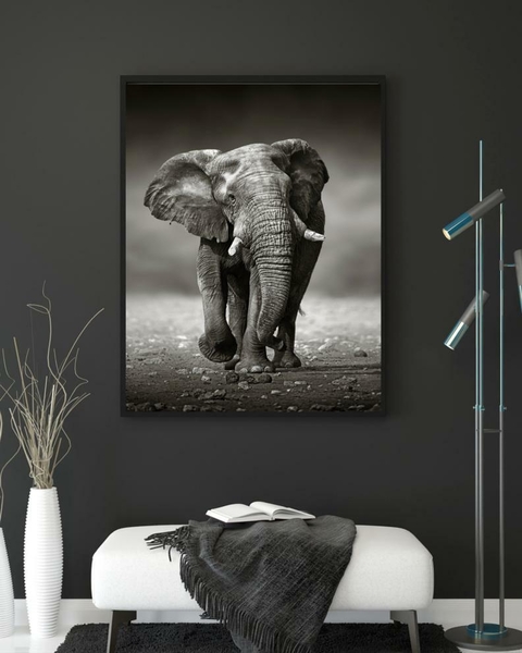 Elefante Dali - comprar online
