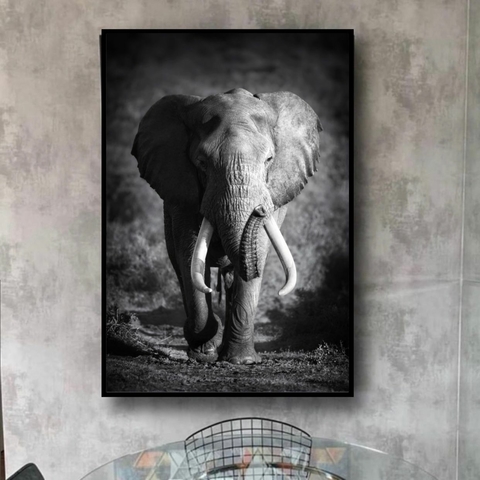 Elefante - comprar online