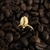 Anel cafezin com banho de ouro. - comprar online