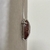 Colar Precioso Rutilado |Prata 950 & Quartzo Rutilado| - Amuletto In Prata
