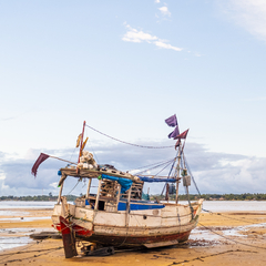 Do Pará - comprar online