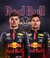 Miniatura F1 Red Bull Racing Campeão Mundial 2022 | Escala 1:43 - comprar online