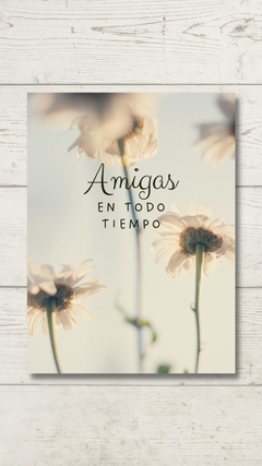 Cuaderno "Amigas celeste"