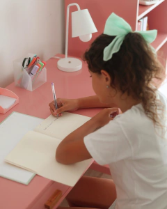 ESCRITORIO FUN ROSA