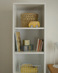 Imagen de BIBLIOTECA MINIMALISTA