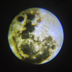 Luminária Projetor de Lua - loja online