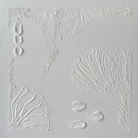 Banner de la categoría Arrecife