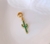 Berloque Cacto (Banho Dourado)