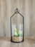 Adorno metal con vidrio y planta