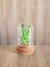 Adorno led cactus