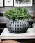 Cachepot Xander Planter