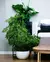 Cachepot Kamsowave Vase - comprar online