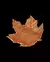 Porta Guardanapo Maple Leaf Trinket Dish - comprar online