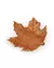 Porta Guardanapo Maple Leaf Trinket Dish - loja online