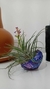 Cachepot Jellyfish agua viva Tillandsia Cor mista