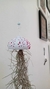 Cachepot Jellyfish Cor branca com pintura orgânica de bolinhas