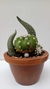 Teste De Umidade Plantas Tentáculos KIT com 4 unidades - comprar online