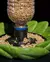 Comedouro passarinhos Bird Feeder in Disguise - comprar online