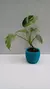 Cachepot Pillet KIT COM 5 UNIDADES Pote 06 - comprar online