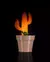 Luminaria Cactus Vase Wall Light