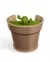 Luminaria Cactus Vase Wall Light - Stoodeo
