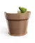 Luminaria Cactus Vase Wall Light na internet