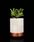 Cachepot CYLINDRIX Wall Planter Set na internet