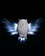 Luminaria Coruja Day Owl Wall Light - comprar online