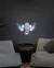 Luminaria Coruja Day Owl Wall Light