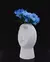 Cachepot Silent Dude New na internet