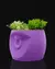 Cachepot Zoh