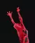 Suporte garrafa de vinho Frog Wine Holder 1