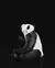 Suporte de vinho Panda - Stoodeo
