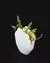 CACHEPOT DO MAR Shell Vase - loja online