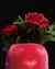 Cachepot Heart Vase - loja online