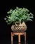 Cachepot Elson Planter na internet