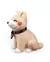 Imagem do Dog Apaixonado Furever Yours