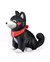 Dog Apaixonado Furever Yours