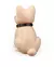 Dog Apaixonado Furever Yours - comprar online