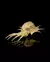 Imagem do ADORNO Green Dragon Skull halloween