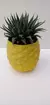 Cachepot Abacaxi