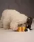 Comedouro Pawsh Service Pet Bowl Stand - comprar online