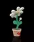 Caixa Organizadora Secreta Petal Whisper - Custom Container - Stoodeo