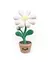 Caixa Organizadora Secreta Petal Whisper - Custom Container - Stoodeo