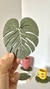 Porta Copos leaf - comprar online