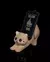 Suporte de Smartphone Compatível Controle Playstation5 Ps5 Purrfect Cat Multipurpose Holder - comprar online