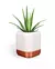 Cachepot QUADRA Self-watering planter - loja online