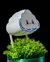 Regador Rain Cloud Plant Waterer - comprar online